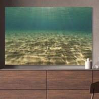 美國TwoPalms 海洋潛水掛畫 (114公分)