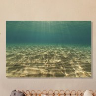 美國TwoPalms 海洋潛水掛畫 (114公分)