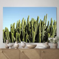 美國TwoPalms 青空仙人掌掛畫 (114公分)