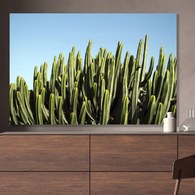 美國TwoPalms 青空仙人掌掛畫 (114公分)