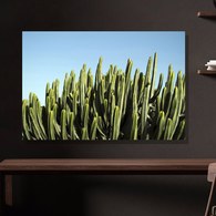 美國TwoPalms 青空仙人掌掛畫 (114公分)