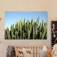 美國TwoPalms 青空仙人掌掛畫 (114公分)