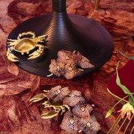 荷蘭 BoldMonkey 螃蟹金屬托盤擺飾