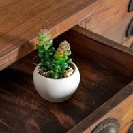 荷蘭Emerald人造植栽 薄雪萬年草多肉植物