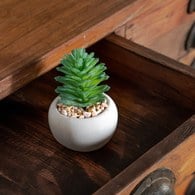 荷蘭Emerald人造植栽 艷日傘多肉植物