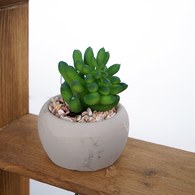 荷蘭Emerald人造植栽 乙女心多肉植物