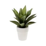 荷蘭Emerald人造植栽 龍舌蘭灌木(白盆)