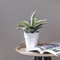 荷蘭Emerald人造植栽 龍舌蘭灌木(白盆)