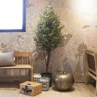 荷蘭Emerald人造植栽 橄欖樹 (黑色膠盆、高170公分)