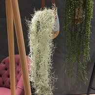 荷蘭Emerald人造植物 垂懸松蘿鳳梨灌木