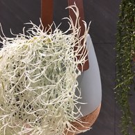 荷蘭Emerald人造植物 垂懸松蘿鳳梨灌木