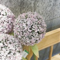 荷蘭Emerald人造花藝 紫色大花葱 (長70公分)