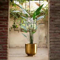 荷蘭Emerald人造植栽 蠍尾蕉綠葉叢 (高175公分)