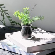 荷蘭 Emerald人造植栽 迷迭香