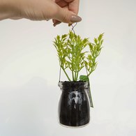 荷蘭 Emerald人造植栽 香芹