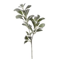 荷蘭 Emerald人造植物 銀葉菊