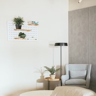 荷蘭 Emerald人造植物 鏡面草