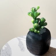 荷蘭 Emerald人造植物 仙人掌