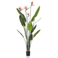 荷蘭 Emerald 人造植栽 天堂鳥綠葉叢 (150cm)