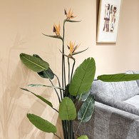 荷蘭 Emerald 人造植栽 天堂鳥綠葉叢 (150cm)