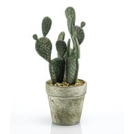 荷蘭Emerald人造植栽 扁平仙人掌