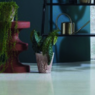 荷蘭Emerald人造植物 銀星秋海棠(30公分)