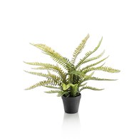 荷蘭Emerald人造植栽 羊齒蕨 (膠盆、55公分)