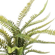 荷蘭Emerald人造植栽 羊齒蕨 (膠盆、55公分)