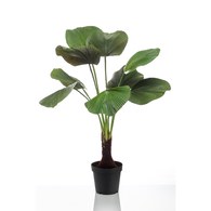 荷蘭Emerald人造植栽 圓扇椰子(130公分)
