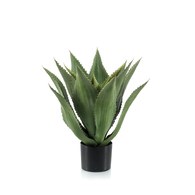 荷蘭Emerald人造植栽 小龍舌蘭灌木 (膠盆、15葉)