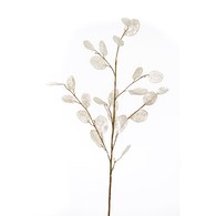 荷蘭Emerald人造花藝 銀扇草(奶油白)