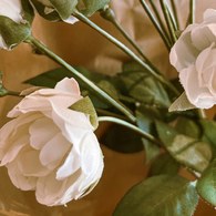 荷蘭Emerald人造花藝 白色迷你玫瑰花 (57公分)