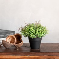 荷蘭Emerald人造植栽 田園水芹 (膠盆)