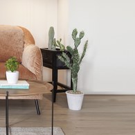 荷蘭Emerald人造植栽 以色列仙人掌 (灰盆、80公分)