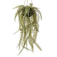 荷蘭Emerald人造植栽 垂墜羊齒蕨 (吊掛、95公分)