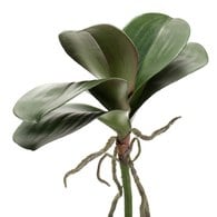 荷蘭Emerald人造植物 蝴蝶蘭葉 (長30公分)