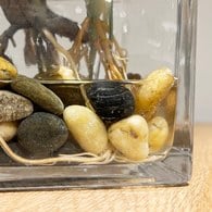 荷蘭Emerald人造植栽 龜背芋水培盆 (45公分)