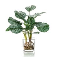 荷蘭Emerald人造植栽 蘋果竹芋水培盆 (45公分)
