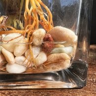 荷蘭Emerald人造植栽 蘋果竹芋水培盆 (45公分)