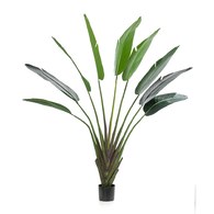 荷蘭Emerald人造植栽 芭蕉葉土盆 (180公分)