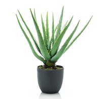 荷蘭Emerald人造植栽 蘆薈 (黑盆、35公分)