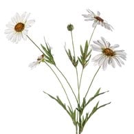 荷蘭Emerald人造花藝 雛菊花 (白、四株、長78公分)