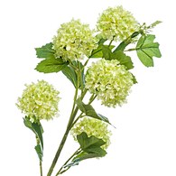 荷蘭Emerald人造花藝 莢迷花 (綠、五株、75公分)