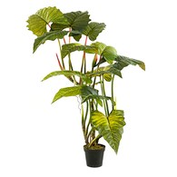 荷蘭Emerald人造植栽 姑婆芋 (膠盆、175公分)