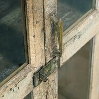 荷蘭RawMaterials 奶油糖霜雙門展示櫃 (高99公分)