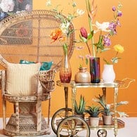 荷蘭Emerald人造植栽 費拉蘆薈 (紅盆)