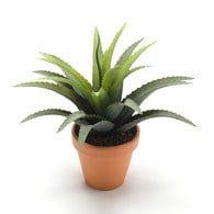 荷蘭Emerald人造植栽 小龍舌蘭灌木 (紅盆)