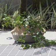 荷蘭Emerald人造植物 深綠色垂懸長春藤 (長70公分)