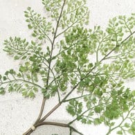 荷蘭Emerald人造植物 鐵線蕨 (長58公分)