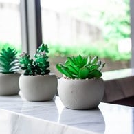 荷蘭Emerald人造植栽 阿吉塔玫瑰多肉植物